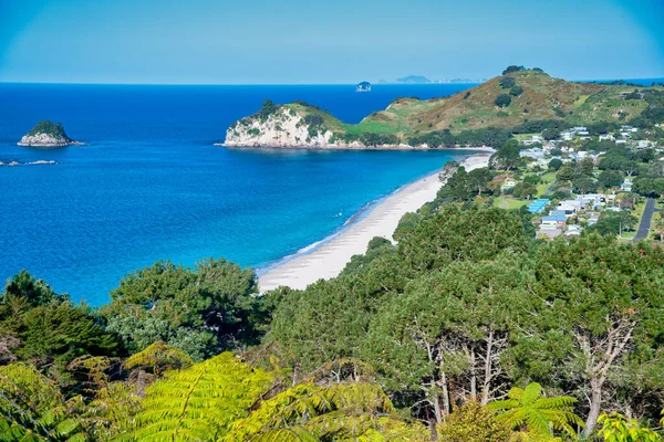 Hahei Beach Coastline Sunny Spring Day New Zealand — Zdjęcie stockowe