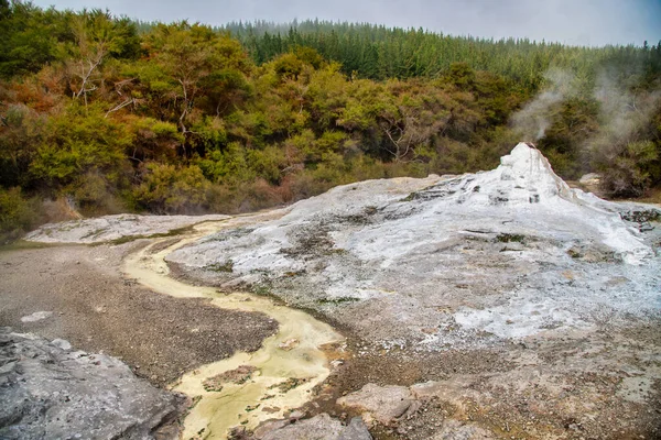 Lady Knox Gejzír Hlavní Atrakcí Waiotapu Thermal Park Nový Zéland — Stock fotografie