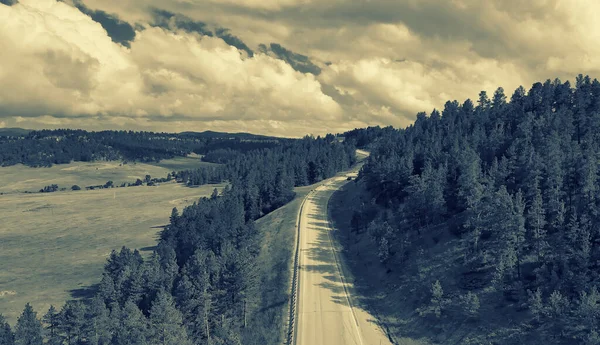 Route Montagne Vue Aérienne Travers Les Bois Saison Estivale — Photo