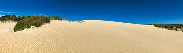 Little Sahara Desert Kangaroo Island Australia Panoramic View — стоковое фото