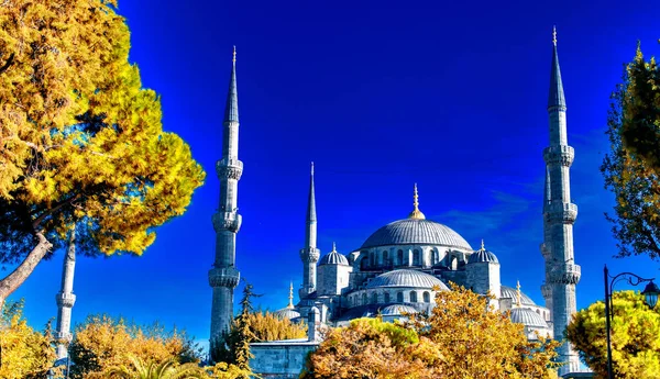 Mosquée Bleue Sultanahmet Camii Entourée Arbres Par Une Journée Ensoleillée — Photo