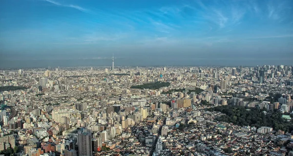 Tokyo Skyline Japon Magnifique Vue Aérienne Des Gratte Ciel Ville — Photo