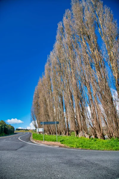 Beautiful Road New Zealand Blue Sky — Fotografia de Stock