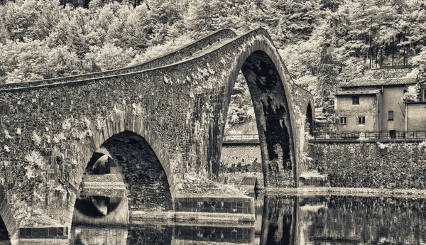 ルッカ 悪魔の橋だ白黒の建築と植生 — ストック写真