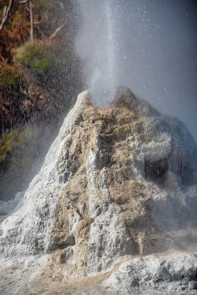 Lady Knox Geyser Major Attraction Waiotapu Thermal Park New Zealand — Stock Photo, Image
