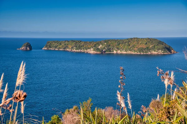 Motueka Island Hahei Hills New Zealand — 图库照片