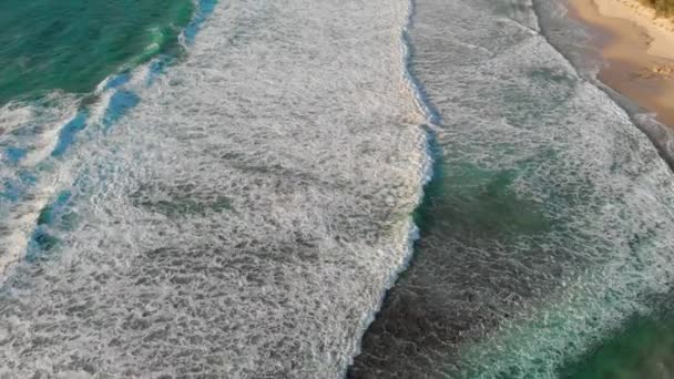 Mirador Del Dron Sobre Hermosas Olas Largo Costa Australia — Vídeo de stock