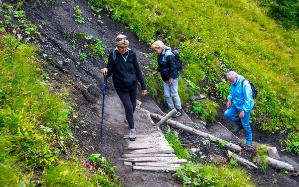 Personas Mayores Largo Sendero Montaña Temporada Verano — Foto de Stock