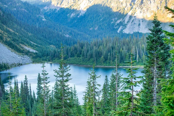 Beautiful Summer Landscape Mount Rainier National Park Usa — Fotografia de Stock