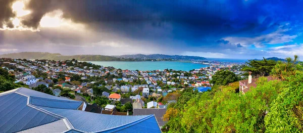 구름낀 아침에 빅토리 아산에서 바라본 웰링턴 파노라마같은 뉴질랜드 — 스톡 사진