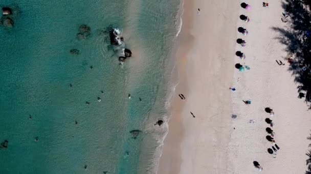 Vista Aérea Aérea Colorida Playa Tropical — Vídeos de Stock
