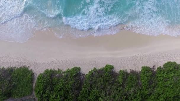 Vista Aérea Isla Tropical Con Mar Vegetación Costa Movimiento Lento — Vídeos de Stock