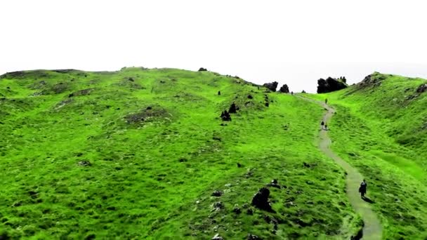 Côte Montagnes Djupalonssandur Islande Vue Incroyable Sur Les Drones Saison — Video