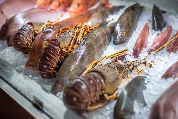 Lobsters Fresh Fish Ice —  Fotos de Stock