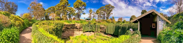 Park Miejski Umpherston Sinkhole Gambier Australia Południowa — Zdjęcie stockowe