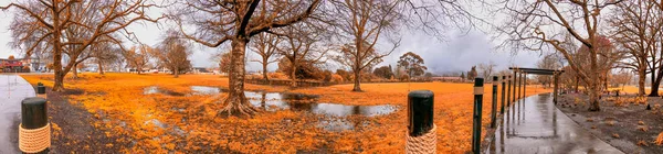 Kuirau Park Rainy Day Rotorua New Zealand Panoramic View — Stock Photo, Image