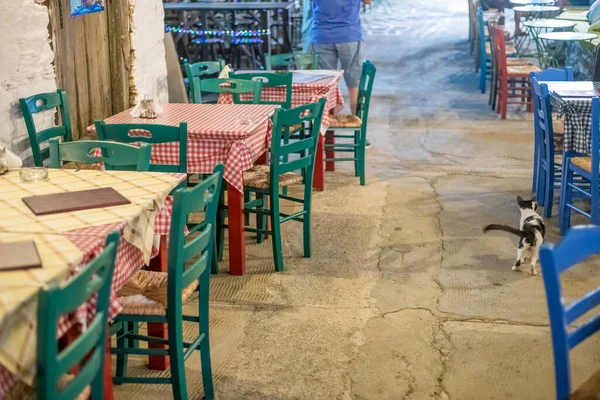 Table Set Night Colorful Tables Wooden Chairs — Foto Stock