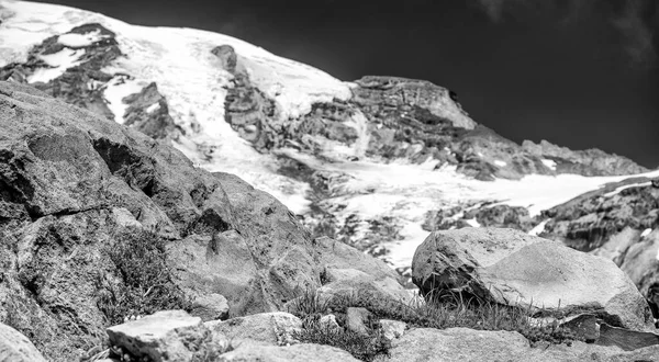 Monte Rainier Con Pico Nevado Hermoso Día Soleado Washington —  Fotos de Stock