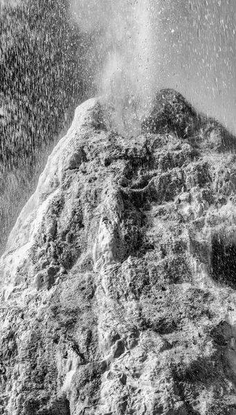 Lady Knox Geyser Merkittävä Nähtävyys Waiotapu Thermal Park Uusi Seelanti — kuvapankkivalokuva