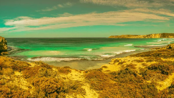 Island Beach Panoramic View Ocean Vegetation — Stockfoto