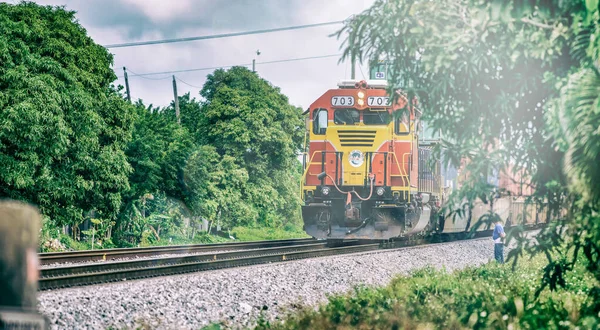 Hialeah Florida Února 2016 Barevný Vlak Zrychluje Železnici — Stock fotografie