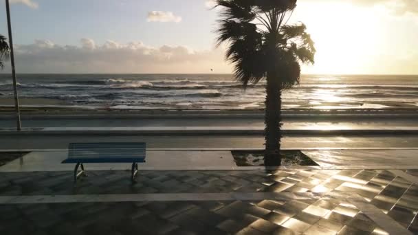 Aerial View City Promenade Palms Ocean Beautiful Coast Sunset Drone — Stockvideo