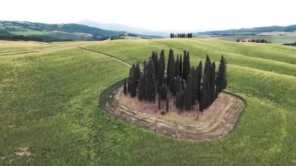 Grupo Ciprestes Toscana Vista Aérea Circular Vale Orcia Itália — Vídeo de Stock