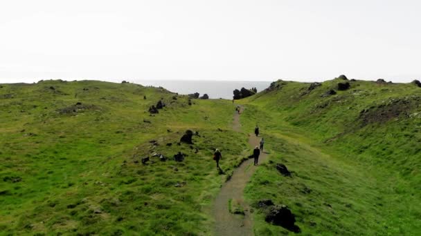 Djupalonssandur Coastline Summer Season Iceland Aerial View Drone Perpective Slow — Video Stock