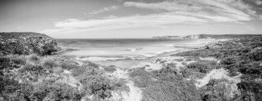 Okyanus ve bitki örtüsüyle adanın panoramik manzarası.