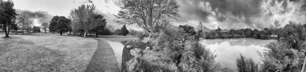 Kuirau Park Rainy Day Rotorua New Zealand Panoramic View — Stok fotoğraf