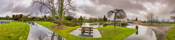 Парк Куйрау Дождливый День Роторуа Новая Зеландия Панорамный Вид — стоковое фото