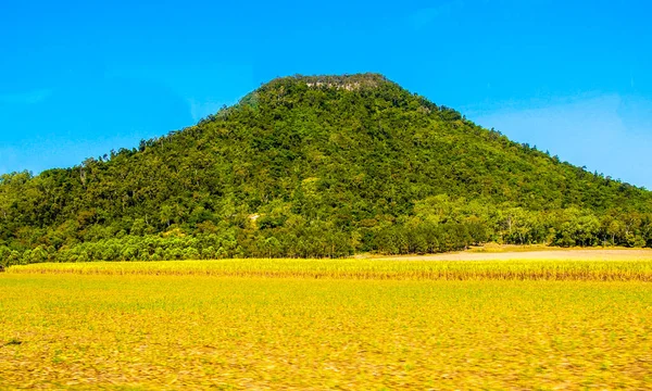 オーストラリア クイーンズランド州の田園地帯の色 — ストック写真