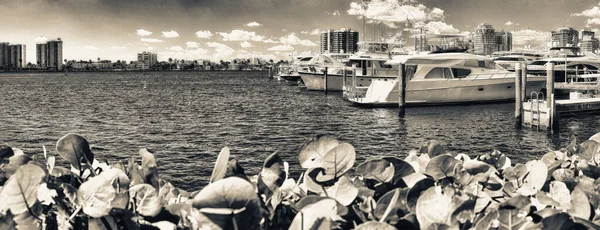 West Palm Beach Panoramablick Auf Den Stadthafen Und Boote Einem — Stockfoto