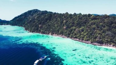 aerial footage of beautiful seashore and green forest on sunny day