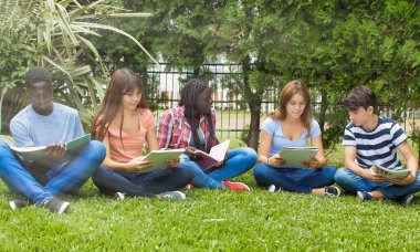 Five teens hang out in a park. Students of multi ethnic classroom seated on the grass doing homework. clipart