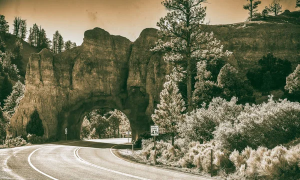 Arco Rojo Situado Entrada Del Parque Nacional Bryce Canyon — Foto de Stock