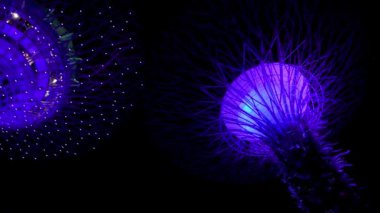 ŞARKI - 3 HAZİRAN 2020: Geceleri Süper Ağaçlı Körfez Bahçeleri.