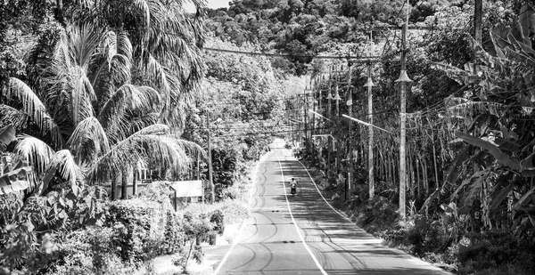 Camino Del Campo Tailandia Con Motocicleta Acelerando —  Fotos de Stock
