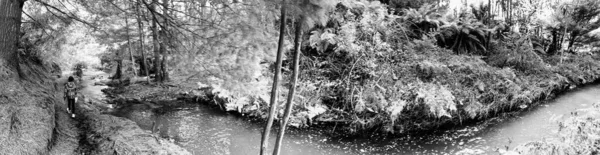 Rotorua New Zealand Tourists Locals Enjoy Thermal Spring Kerosene Creek — Foto Stock