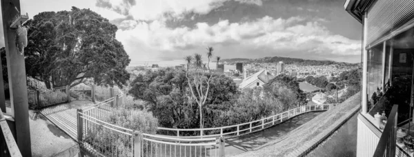 Panoramisch Uitzicht Skyline Van Wellington Nieuw Zeeland — Stockfoto