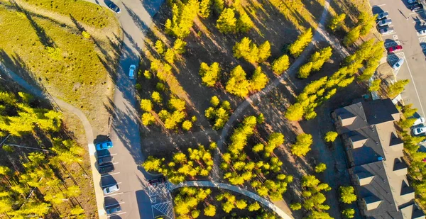 Luchtfoto Van Parkeerplaats Het Midden Van Een Bos — Stockfoto