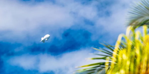 空の飛行船 ヤシと雲で字が読める — ストック写真