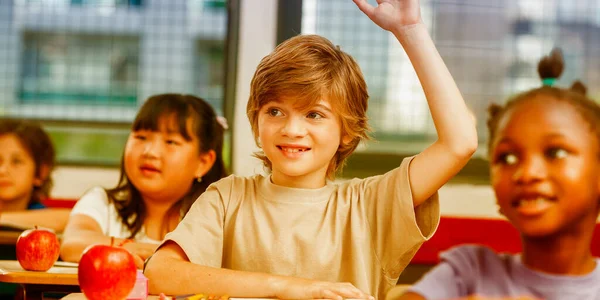 Schüler Hebt Klassenzimmer Die Hand — Stockfoto