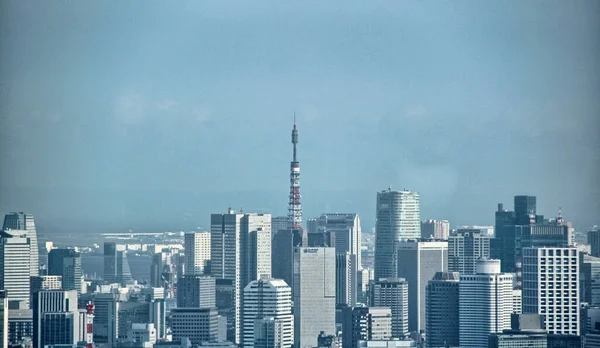 Tokyo Aug 스카이라인 2013 도쿄에서의 1000 이넘는 관광객이 찾아오고 — 스톡 사진