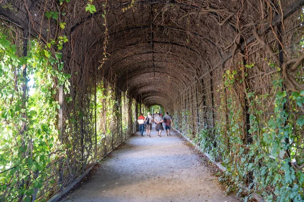 Blurred Movements People Visiting City Park Tunnel Made Leaves — Stock Photo, Image