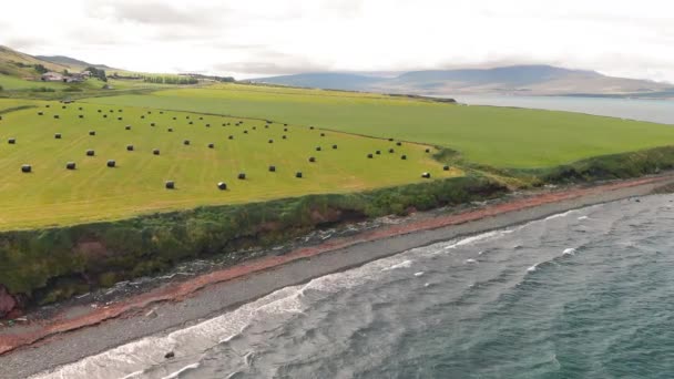 Haystacks São Embrulhados Plástico Perto Haystacks Apareceu Palha Fardos Deitados — Vídeo de Stock