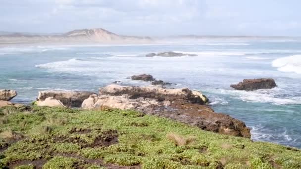 Costa Great Ocean Road Día Soleado Australia — Vídeo de stock