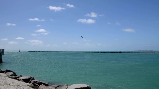 Widok Lotu Ptaka Miami Beach South Pointe Park Floryda — Wideo stockowe