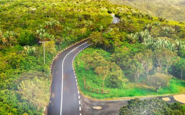 Güzel ada ormanı ve yol manzarası.