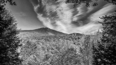 Yaprak mevsimi renkleri. Dağ ve orman sonbahar ağaçları.
